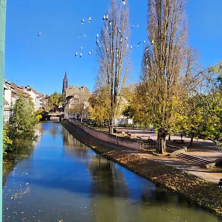 Apartment La Petite Alsacienne Strasbourg